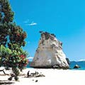 camper rentals nz